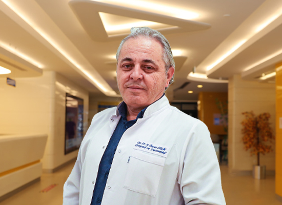 Dr. Öğr. Üyesi Halil Özcan ÇELİK